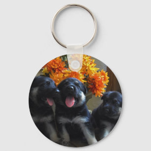 Puppies Keychain