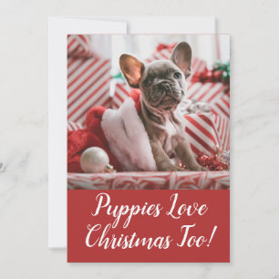 Puppies Love Christmas French Bulldog Holiday Card