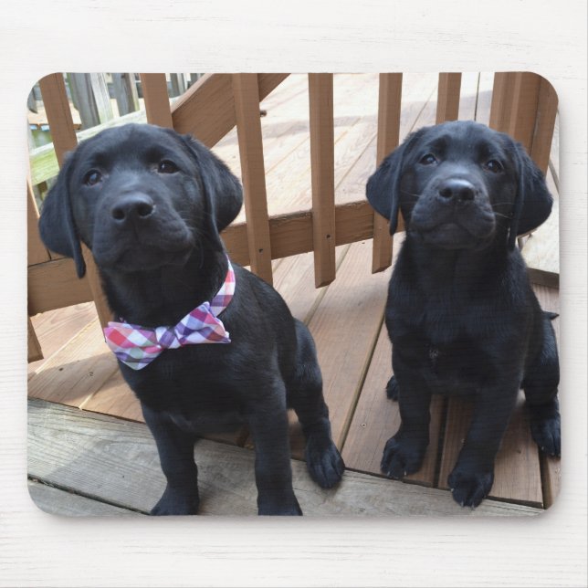 Puppies Mousepad (Front)