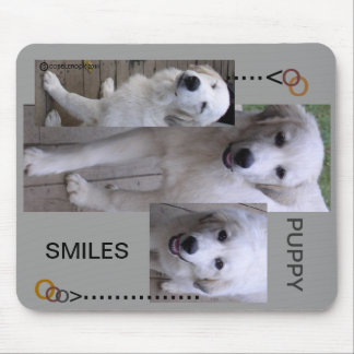 Puppies on a mouse pad