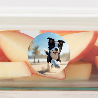 Puppies playing on the beach