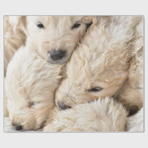Puppies Valentine's Day Wrapping Paper