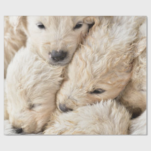 Puppies Valentine's Day Wrapping Paper