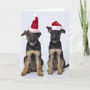 Puppies with santa hats holiday card