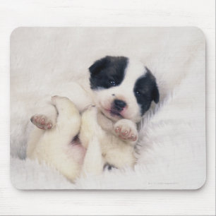 Puppy 2 mouse pad