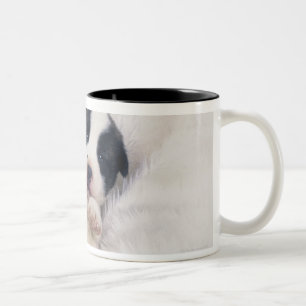 Puppy 2 Two-Tone coffee mug