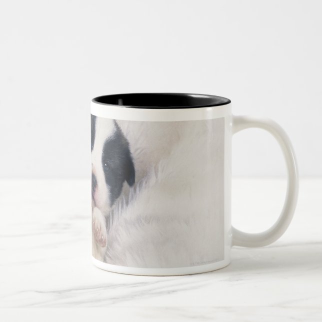 Puppy 2 Two-Tone coffee mug (Right)
