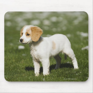 Puppy 3 mouse pad