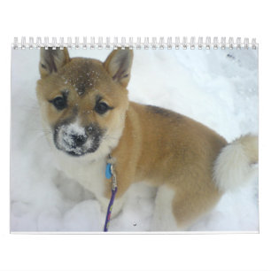 puppy 3 shiba inu.png calendar