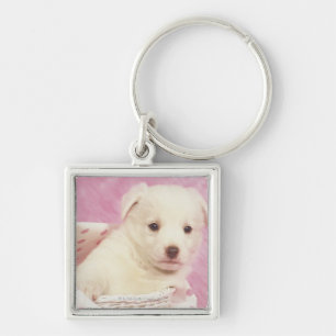 Puppy 5 key ring