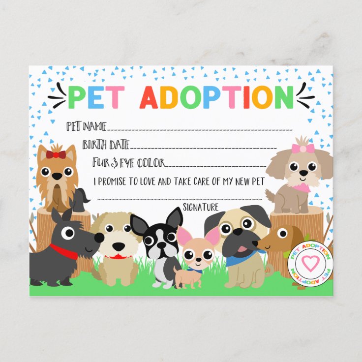 stuffed animal adoption