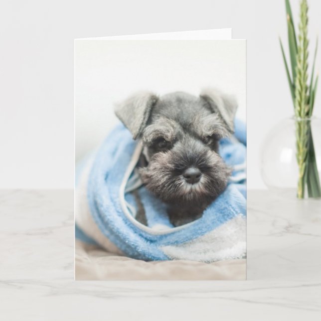 Puppy After Bath Card (Front)