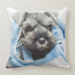 Puppy After Bath Cushion