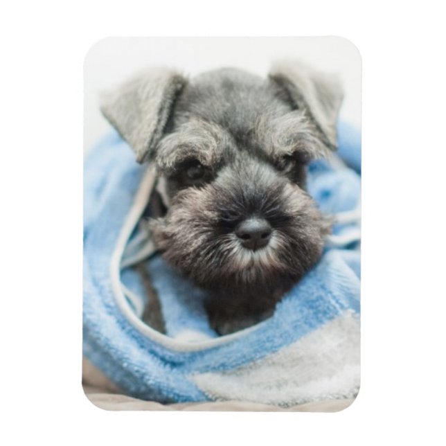 Puppy After Bath Magnet (Vertical)