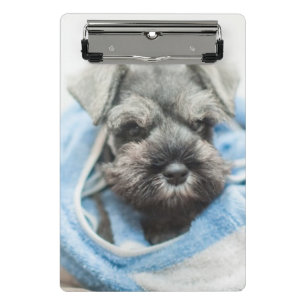 Puppy After Bath Mini Clipboard