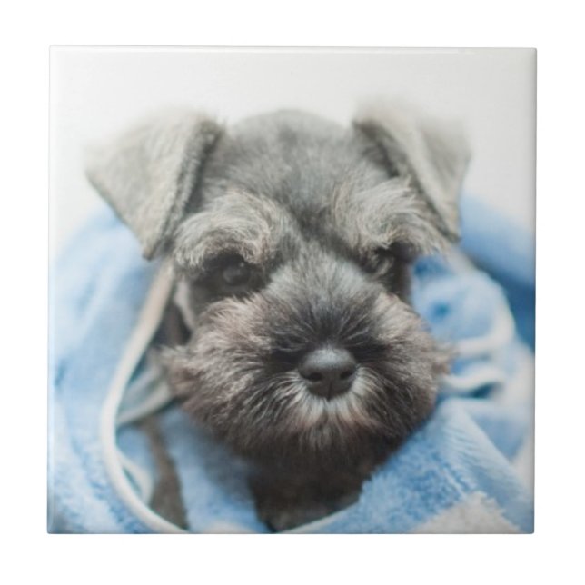 Puppy After Bath Tile (Front)