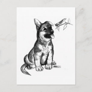 Puppy and Grasshopper Postcard