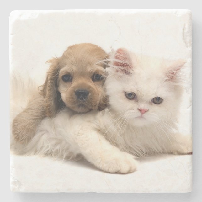 Puppy and Kitten Stone Coaster (Front)