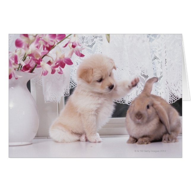 Puppy and Lop Ear Rabbit (Front Horizontal)