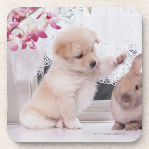 Puppy and Lop Ear Rabbit Coaster