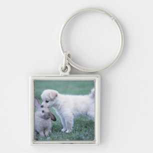 Puppy and Lop Ear Rabbit on lawn Key Ring