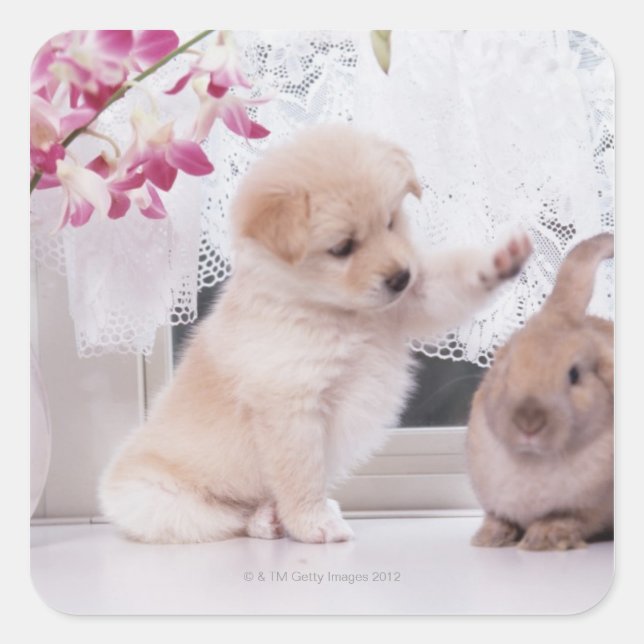 Puppy and Lop Ear Rabbit Square Sticker (Front)