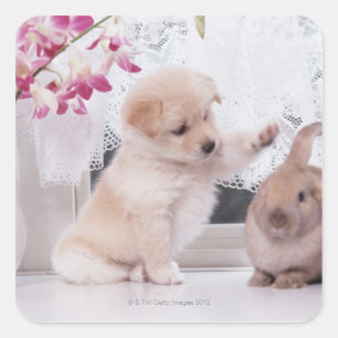 Puppy and Lop Ear Rabbit Square Sticker