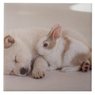 Puppy and Rabbit Ceramic Tile