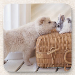 Puppy and rabbit coaster