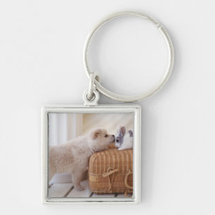 Puppy and rabbit key ring