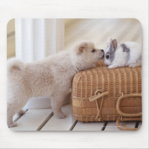 Puppy and rabbit mouse pad