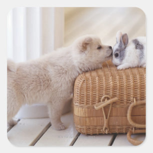 Puppy and rabbit square sticker