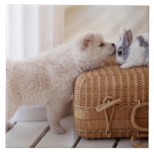 Puppy and rabbit tile