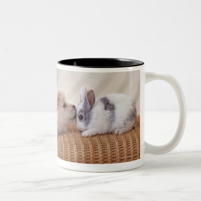 Puppy and rabbit Two-Tone coffee mug (Right)