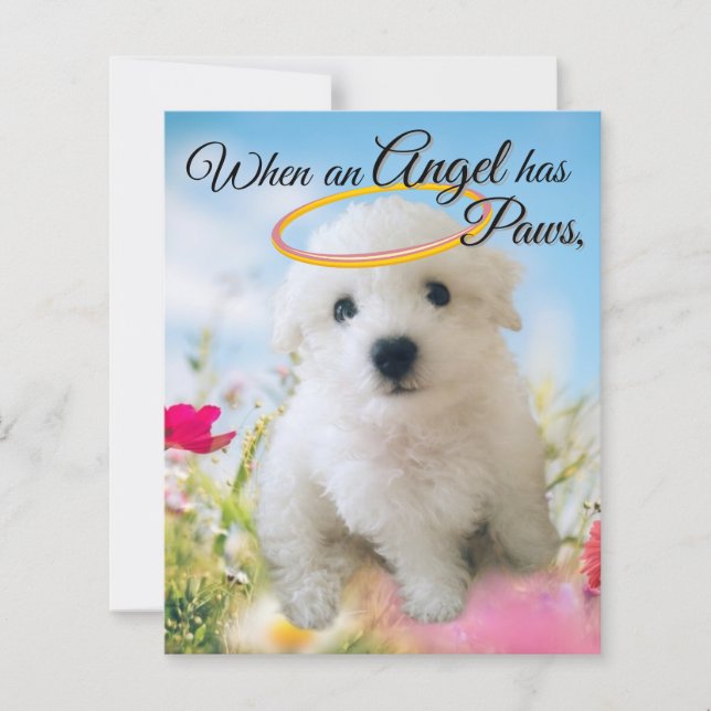 Puppy Angel  (Front)