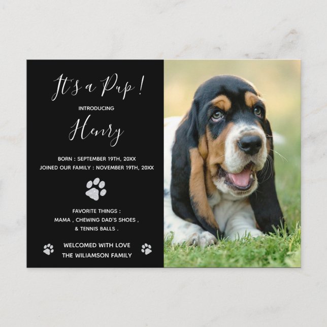 Puppy Announcement Black Elegant Modern Glitter Postcard (Front)