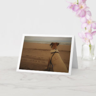Puppy at Beach Card