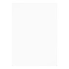 Puppy Birthday Paw-ty Invitation