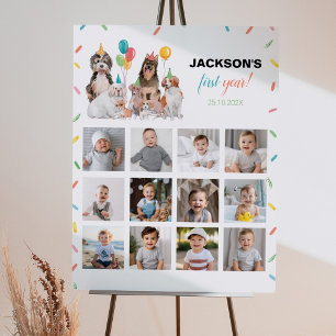 Puppy Boy Birthday Photo Milestone Sign Dog Party