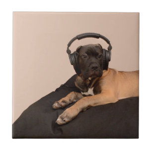 Puppy Bullmastiff Ceramic Tile