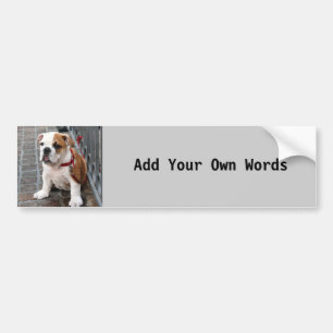 Puppy Bumper Sticker
