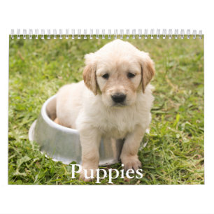 Puppy Calendar