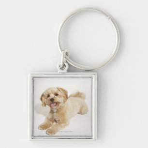 Puppy (Canis familiaris) 2 Key Ring