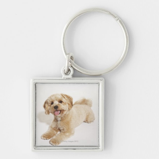 Puppy (Canis familiaris) 2 Key Ring (Front)