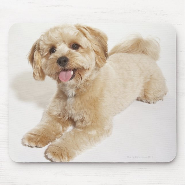 Puppy (Canis familiaris) 2 Mouse Pad (Front)