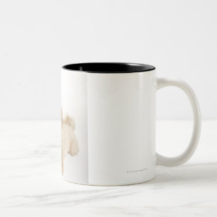 Puppy (Canis familiaris) 2 Two-Tone Coffee Mug