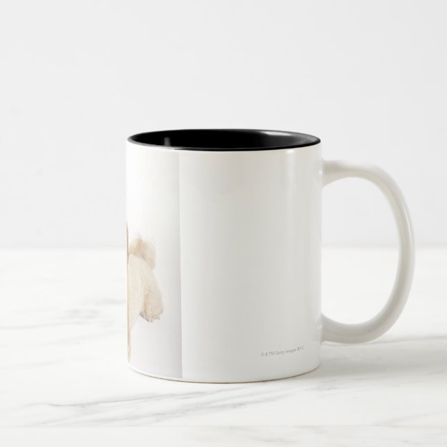 Puppy (Canis familiaris) 2 Two-Tone Coffee Mug (Right)