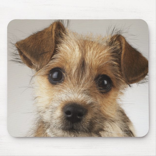 Puppy (Canis familiaris) Mouse Pad (Front)