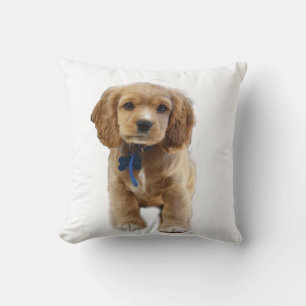 Puppy Ccoker spaniels Cushion