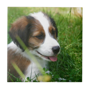 Puppy Ceramic Tile